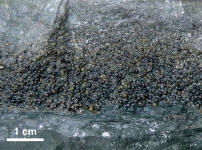 Spherule Deposits on Gorgonilla Island