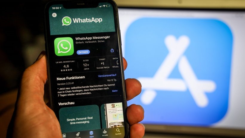 App Store Without WhatsApp?  Terms and conditions may violate guidelines