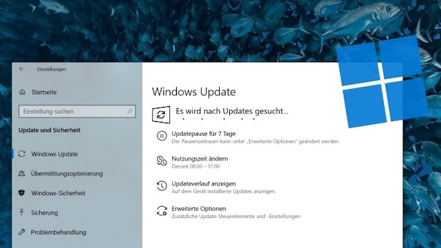 Initially, only a few users were offered Windows 11 with Windows Update.