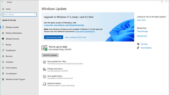 Creation of Microsoft Insiders Edition of Windows 11