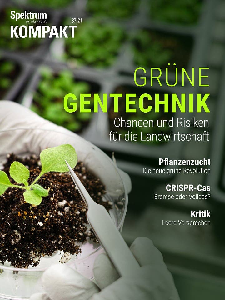 Spectrum in Brief: Green Genetic Engineering - Opportunities and Risks for Agriculture