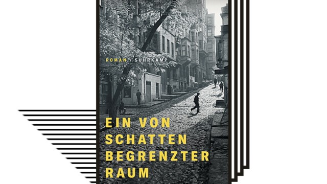 Book of the month: Emine Sevgi Özdamar: A space bounded by shadow.  a novel.  Suhrkamp, ​​Berlin 2021. 763 pages, €28.