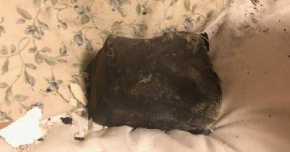 News |  Canada: A meteorite landed on its bed at midnight