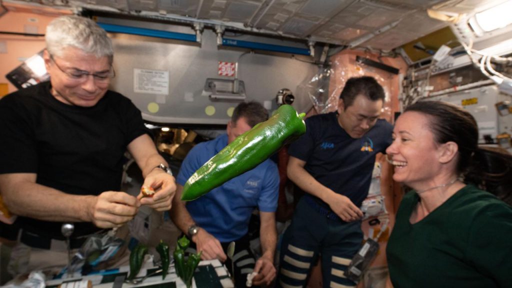 NASA astronauts take pepper for the first time in space at the International Space Station