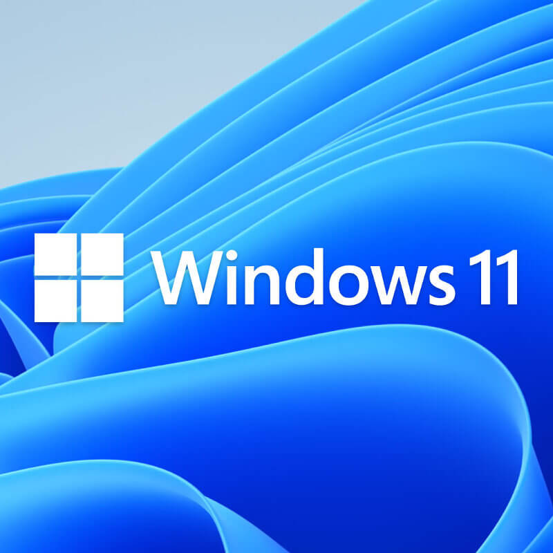 Windows 11 Field Test Report