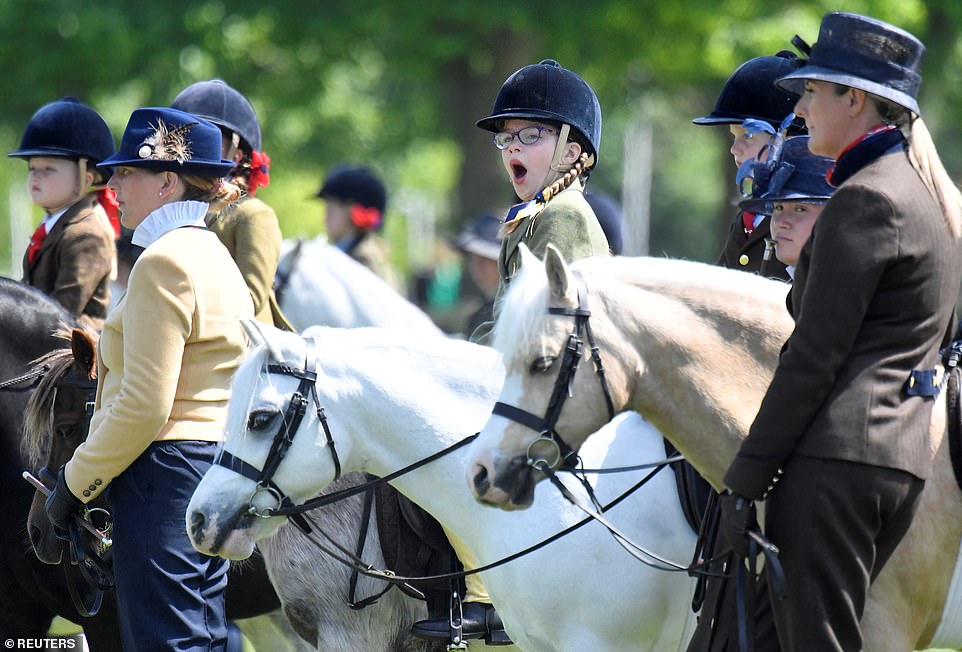 Entrants compete in the Rhine's Leading Open Class at Mountain and Moreland Moreland at the Royal Windsor Horse Show
