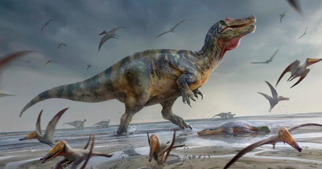 One of Europe's largest predatory dinosaurs ever has been discovered in the UK