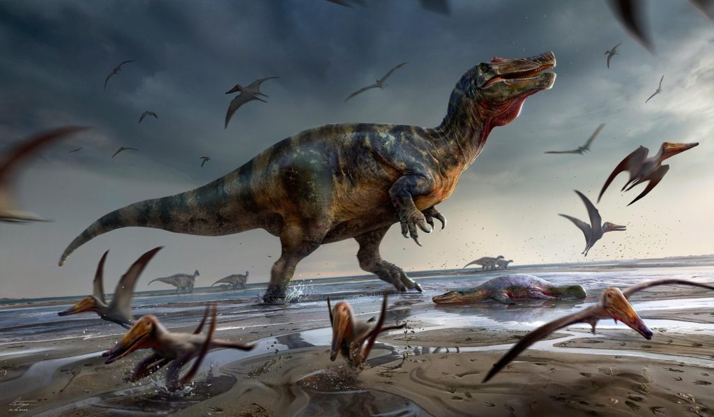 The largest predatory dinosaur in Europe discovered on the Isle of Wight