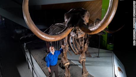 University of Michigan paleontologist Daniel Fisher poses with a composite skeleton of a Buesching mastodon.  Photography by Eric Bronson, Michigan Photography.