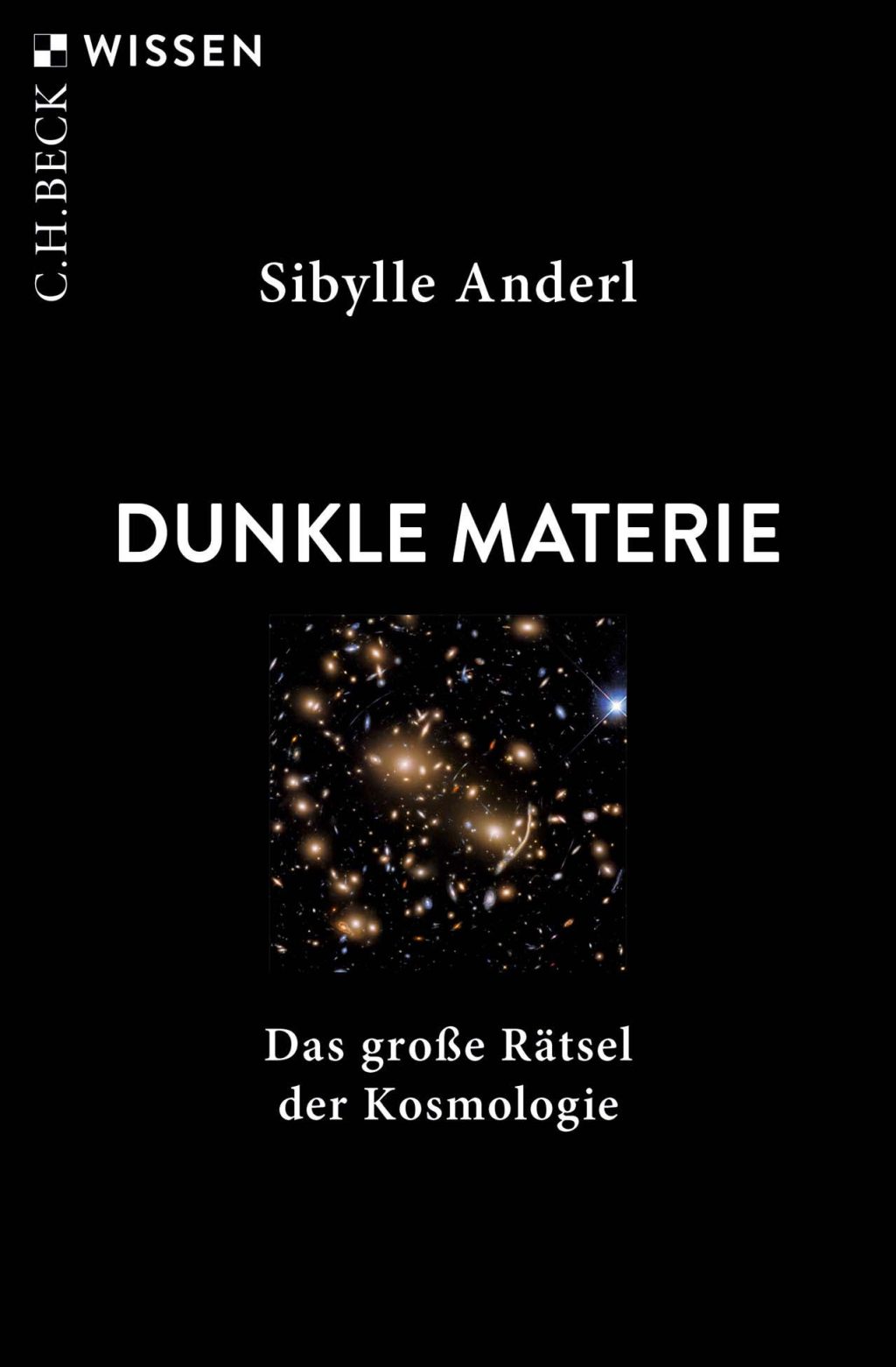 Review of the book "Dark Matter" - Spectrum of Science