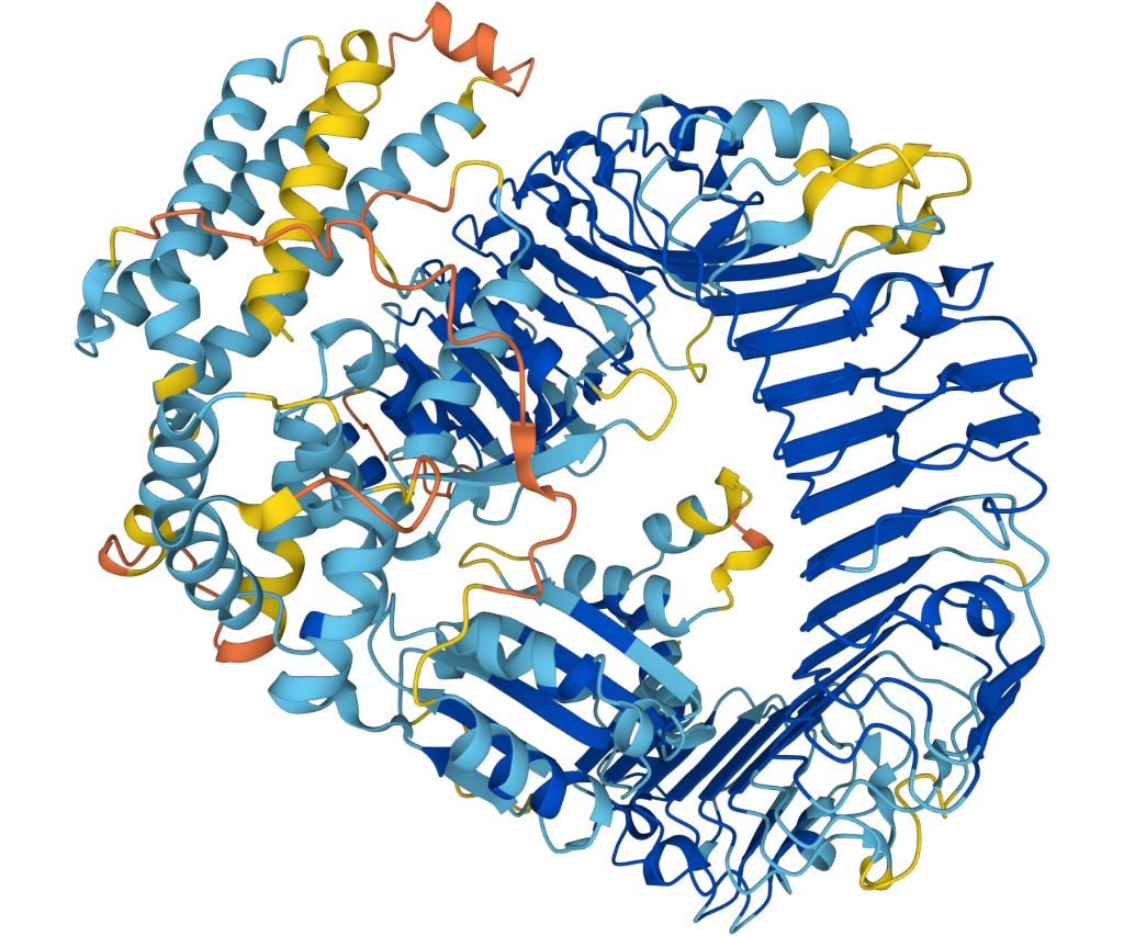 AlphaFold Protein Structure Prediction