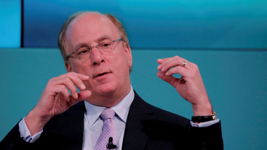 BlackRock's Fink blames investment climate 'not seen in decades' for lost profits