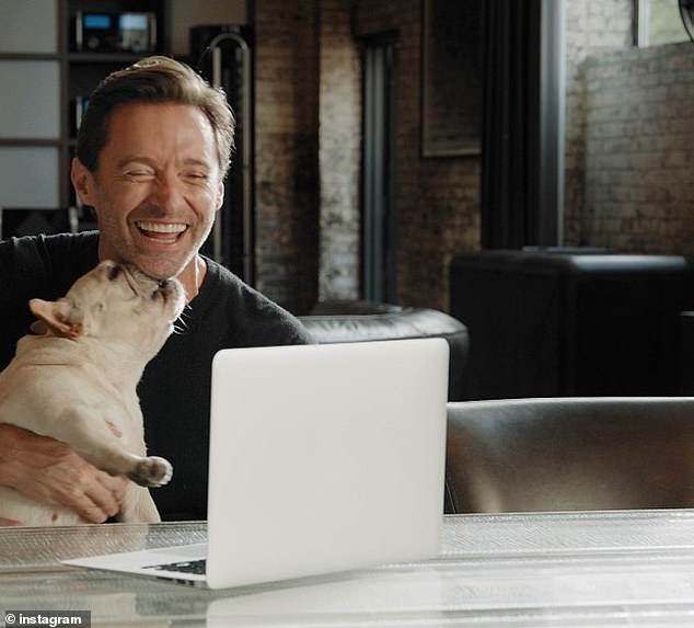 Sad news: Hugh Jackman has revealed that his dog, Dalí, died just a month before his 12th birthday