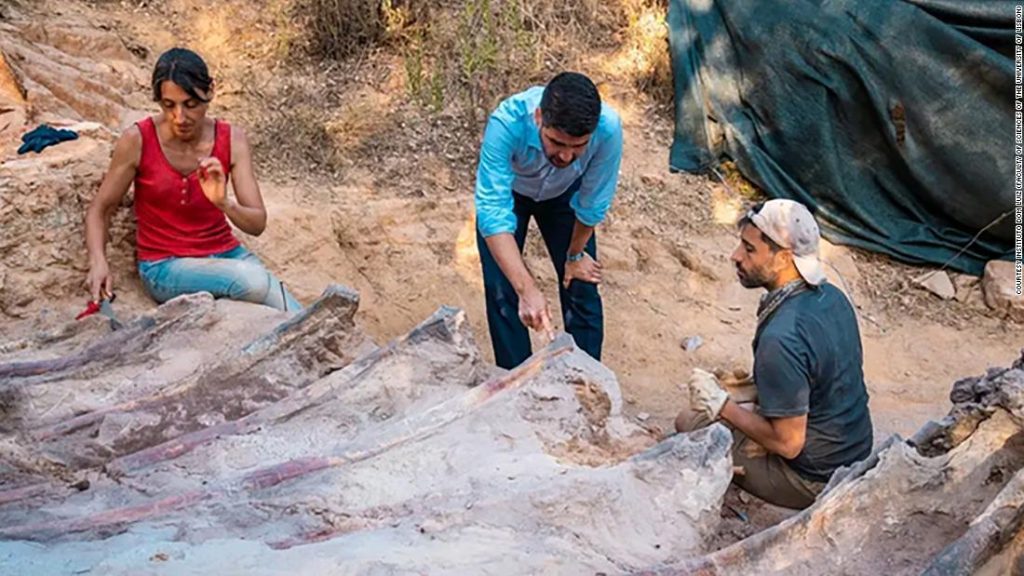 Discover a dinosaur cage in the backyard of Portugal