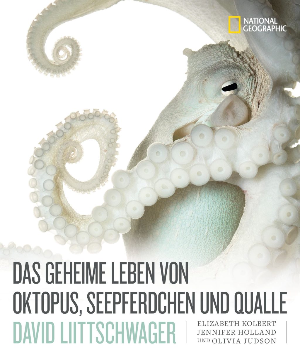 Review of the secret life of octopus, seahorses and jellyfish