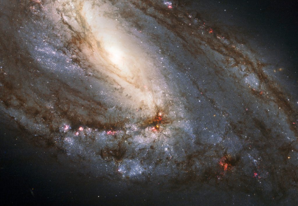 【▲ 棒渦巻銀河「M66」（NASA, ESA and the Hubble Heritage (STScI/AURA)-ESA/Hubble Collaboration; Acknowledgment: Davide De Martin and Robert Gendler）】